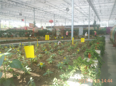 火龙果灌溉系统-亿安鑫节水灌溉(在线咨询)-火龙果灌溉